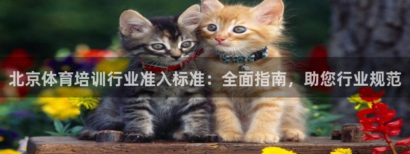 焦点娱乐股东有哪些：北京体育培训行业准入标准：全面指