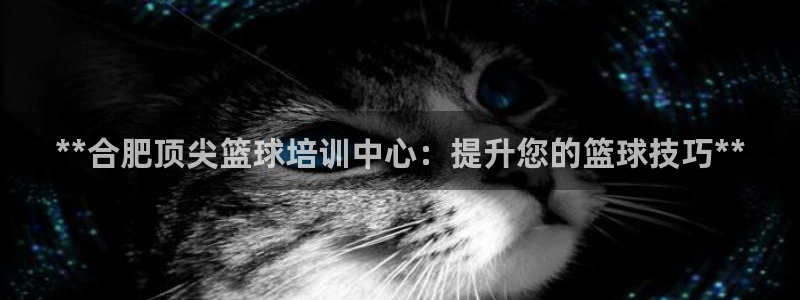 焦点娱乐官网下载苹果：**合肥顶尖篮球培训中心：提升您的篮球