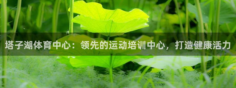 焦点娱乐是什么软件：塔子湖体育中心：领先的运动培训中心，打造