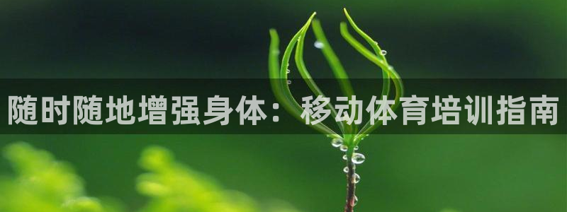 焦点娱乐说说句子：随时随地增强身体：移动体育培训指南