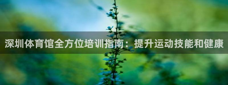 焦点娱乐传媒有限公司是干嘛的啊：深圳体育馆全方位培训