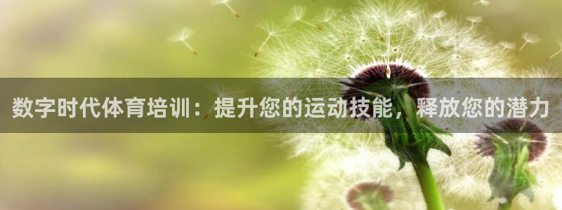 焦点娱乐是哪个公司的：数字时代体育培训：提升您的运动