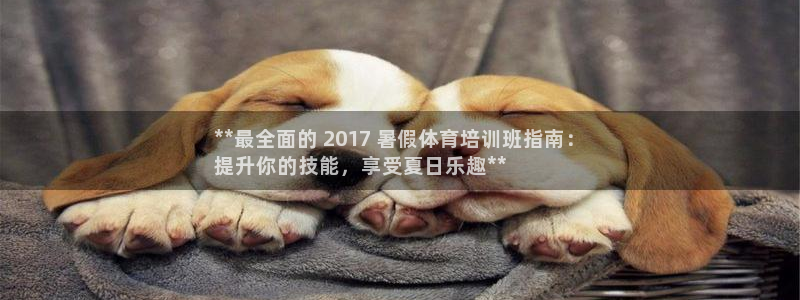 焦点娱乐app下载官网苹果手机：**最全面的 2017 暑假