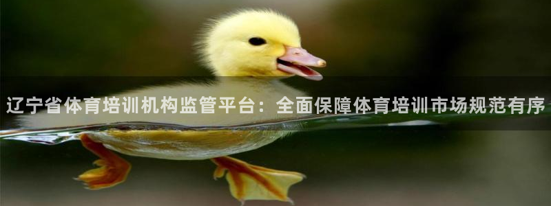 焦点娱乐官网下载苹果手机版：辽宁省体育培训机构监管平台：全面