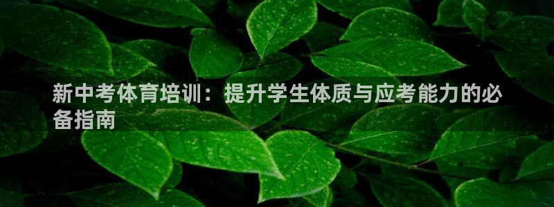焦点娱乐无法提现怎么办