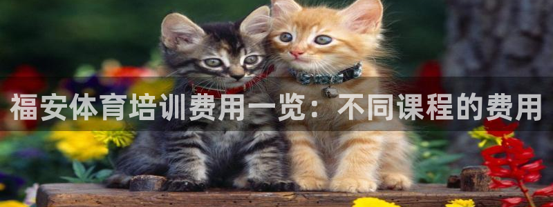 焦点娱乐星白鹿罗云熙在线磕cp：福安体育培训费用一览