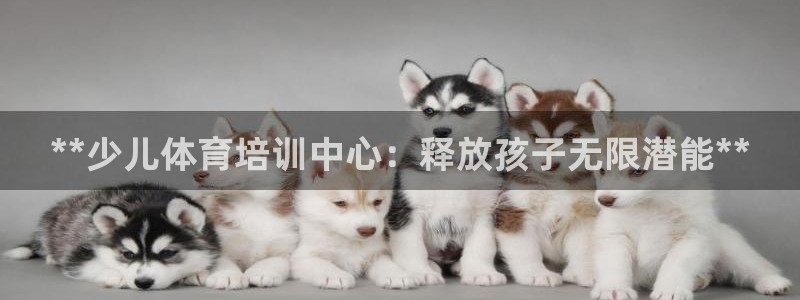 焦点娱乐如何注册账号和密码呢：**少儿体育培训中心：