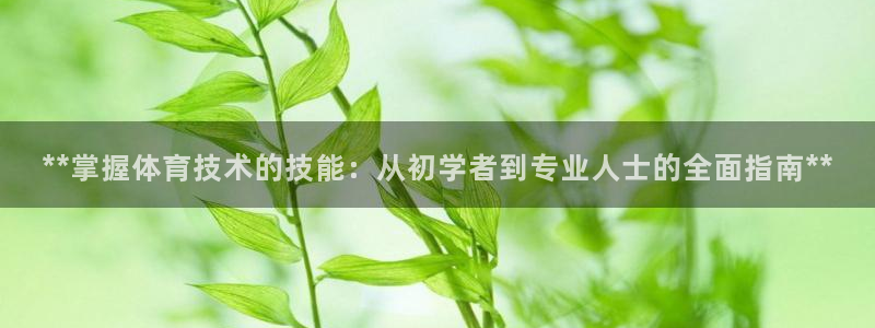 焦点娱乐如何注册账号的：**掌握体育技术的技能：从初