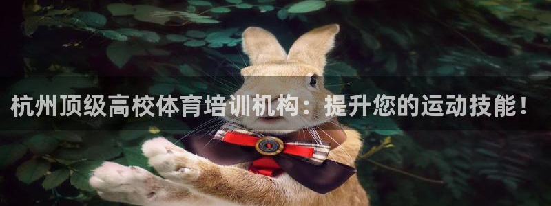 焦点娱乐网：杭州顶级高校体育培训机构：提升您的运动技