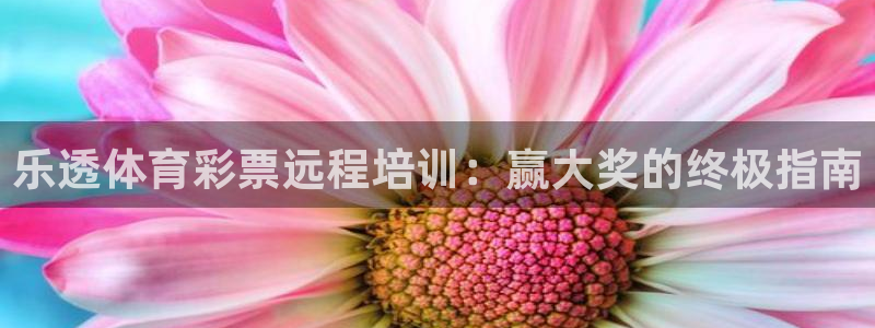焦点娱乐传媒