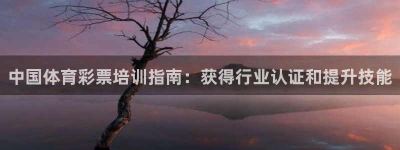焦点娱乐平台客服电话号码查询