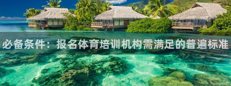 焦点娱乐拉菲11月11日
