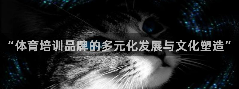 焦点娱乐怎么找导师
