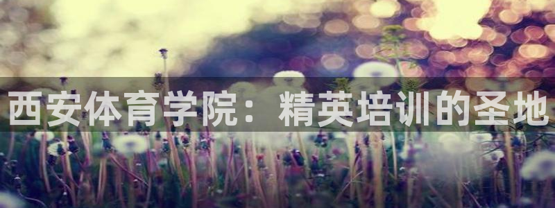 焦点娱乐平台登录不了