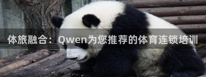 焦点娱乐公司的发展历程简介