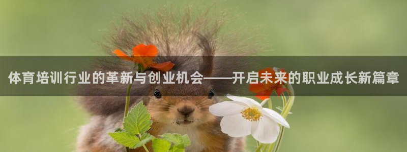 焦点娱乐是什么