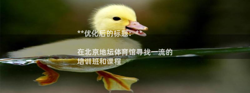 焦点娱乐官网首页：**优化后的标题：**

在北京地坛体育馆