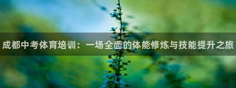 焦点娱乐挂机版下载