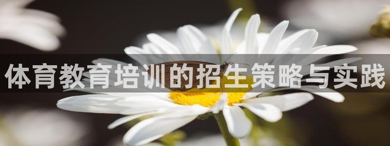 焦点娱乐不出款：体育教育培训的招生策略与实践