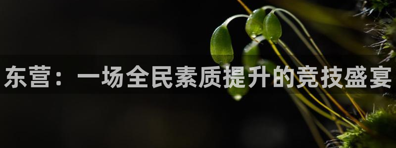 焦点娱乐ktv：东营：一场全民素质提升的竞技盛宴