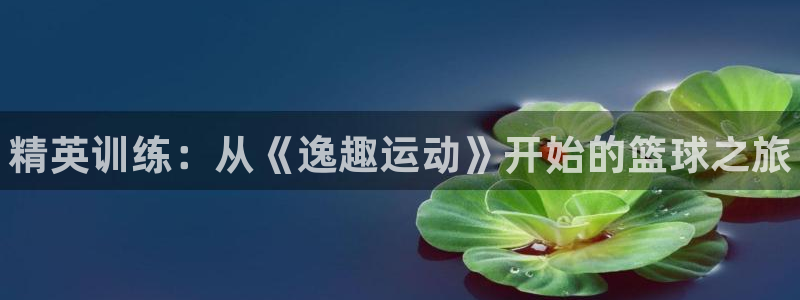 焦点娱乐下载手机版：精英训练：从《逸趣运动》开始的篮球之旅