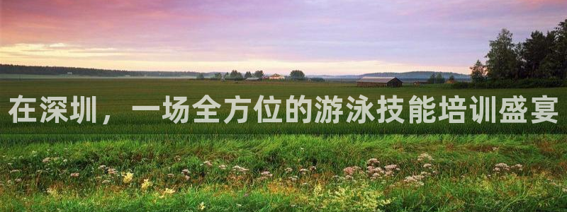 焦点娱乐官方网站入口在线观看：在深圳，一场全方位的游