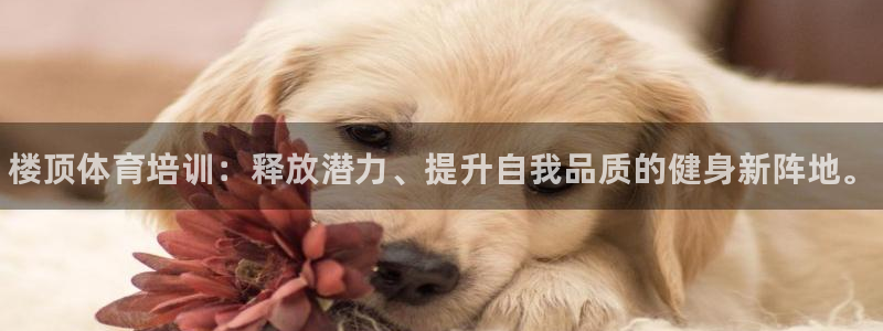 焦点娱乐平台是正规的吗知乎文章：楼顶体育培训：释放潜