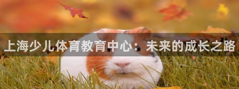 焦点娱乐app下载安装方式是什么：上海少儿体育教育中心：未来