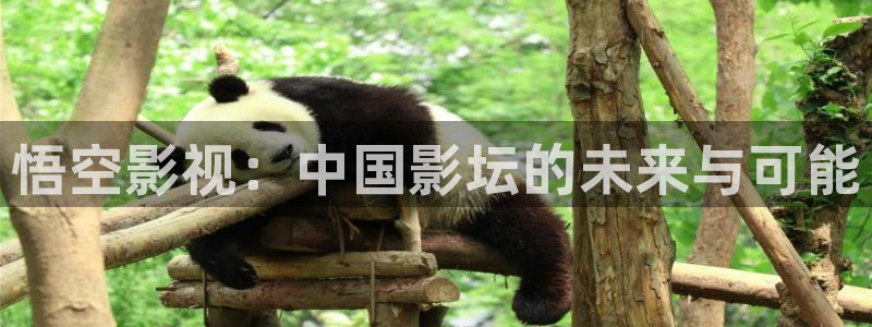 黑狐影院官网