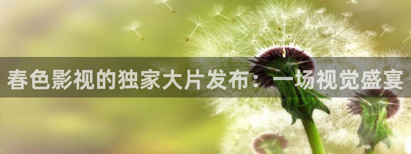 黑狐影院皮特电影