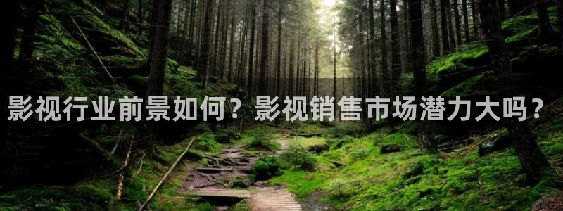 黑狐影院在线