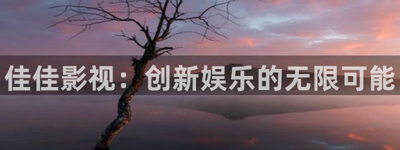 皮特黑狐影院