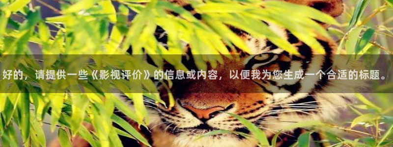 黑狐影院在线播放
