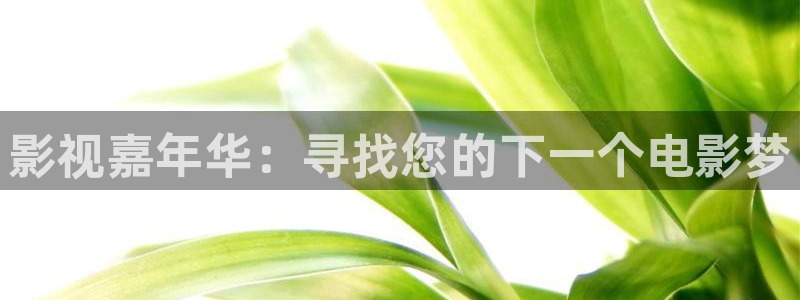 黑狐影院手机在线观看高清电视剧