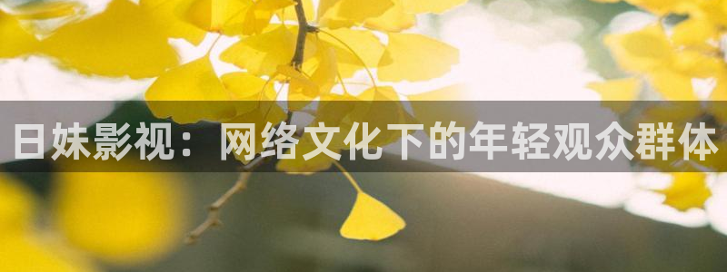 皮特影院黑狐
