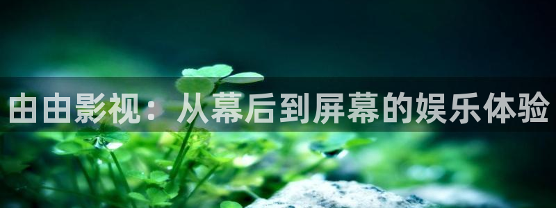 6080黑狐影院