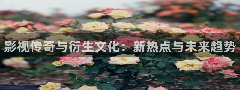 黑狐影院官网
