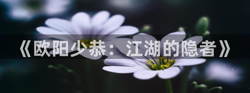 黑狐影院手机在线观看高清电视剧