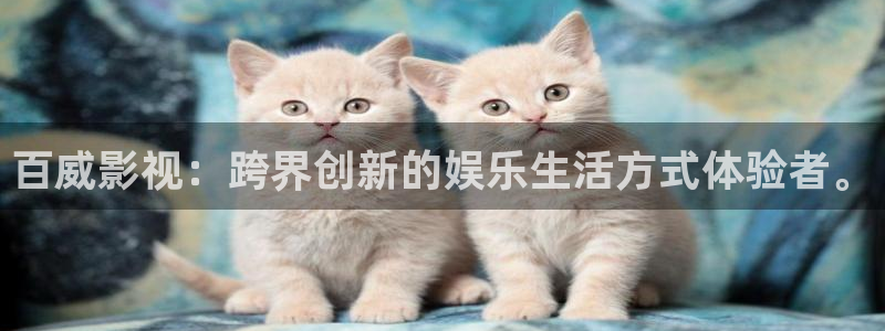 黑狐影院免费版