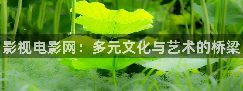 黑狐影院正版