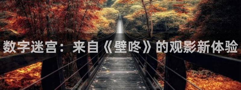 黑狐影院